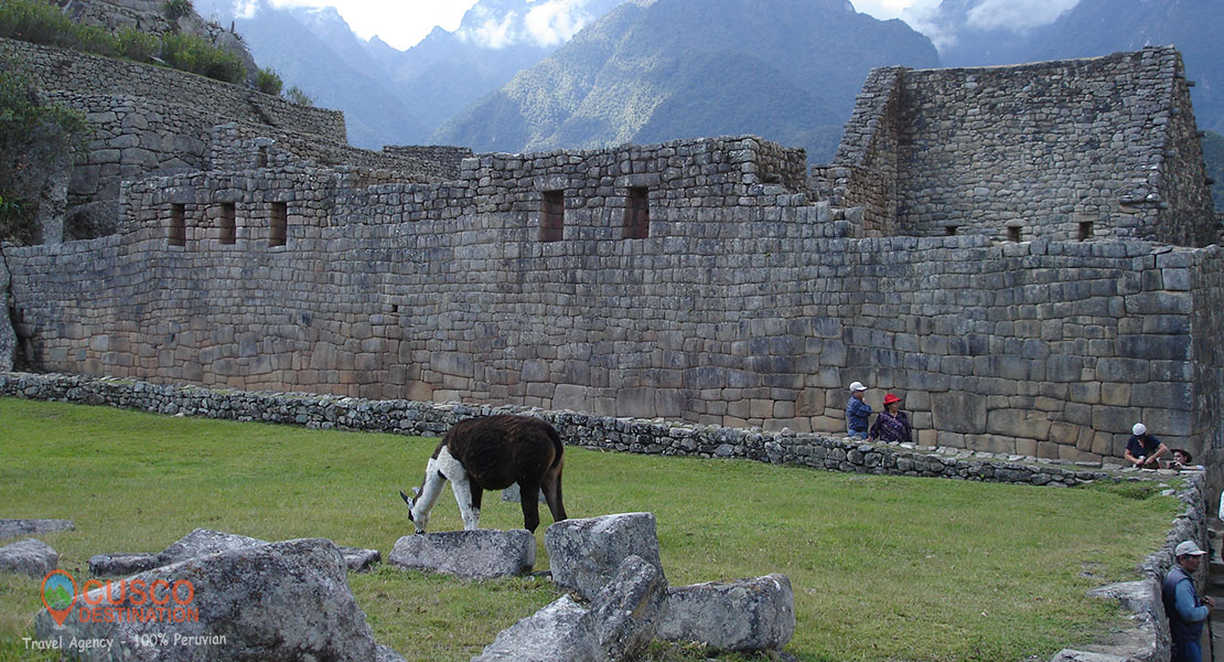 Best Time to Visit Machu Picchu